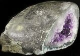 Amethyst Crystal Geode #37738-1